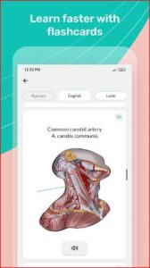 Easy anatomy. Medical atlas MOD APK for Android Download
