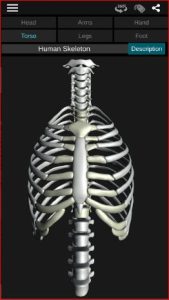 Osseous System in 3D (Anatomy) MOD APK for Android Download
