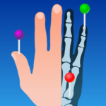 e-Anatomy APK