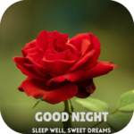 good night roses APK