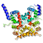 Human proteins APK